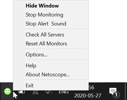 Netoscope hides in the system tray and monitors servers in the background