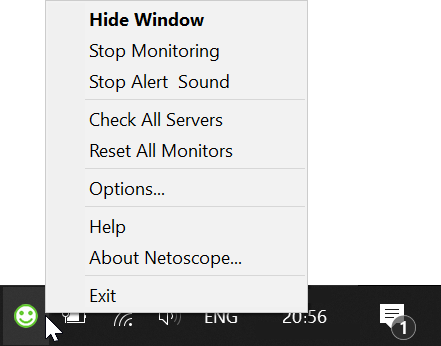 Netoscope hides in the system tray and monitors servers in the background